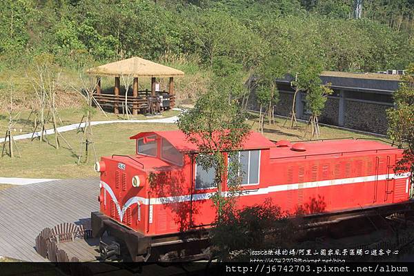 年初一嘉義觸口阿里山18號公路 (29).JPG