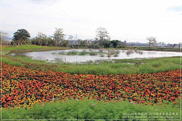 2016后里花毯節 (8).JPG