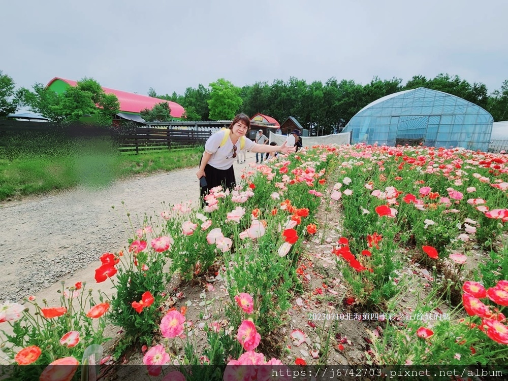 2023.7.10北海道~展望花田美瑛四季彩之丘