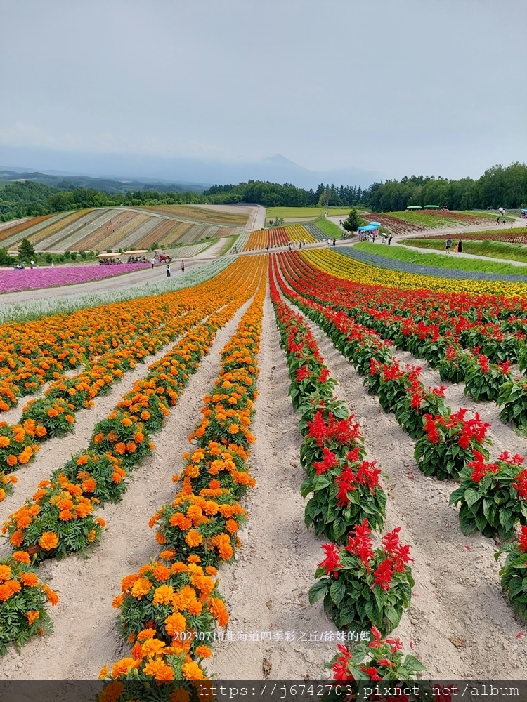 2023.7.10北海道~展望花田美瑛四季彩之丘