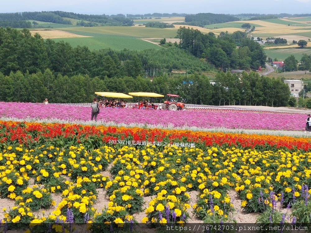 2023.7.10北海道~展望花田美瑛四季彩之丘