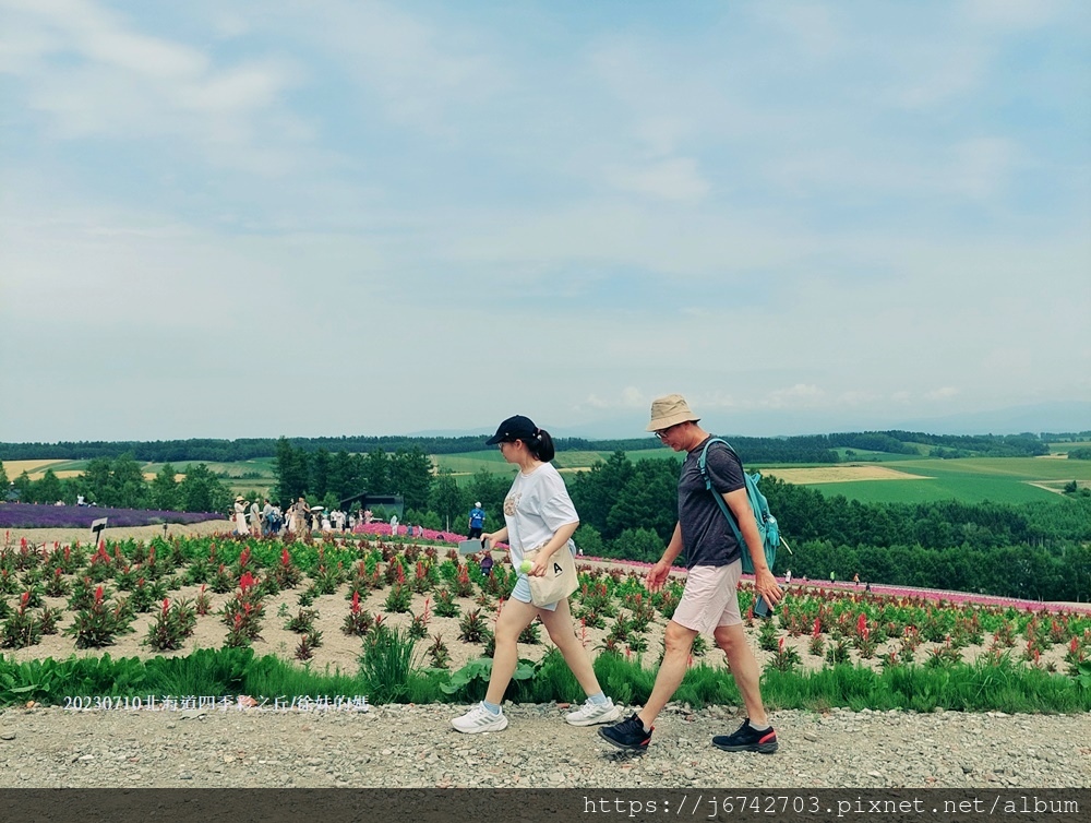 2023.7.10北海道~展望花田美瑛四季彩之丘