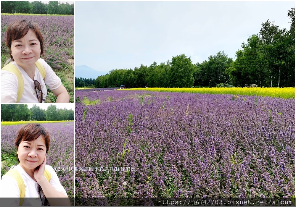 2023.7.10北海道~展望花田美瑛四季彩之丘