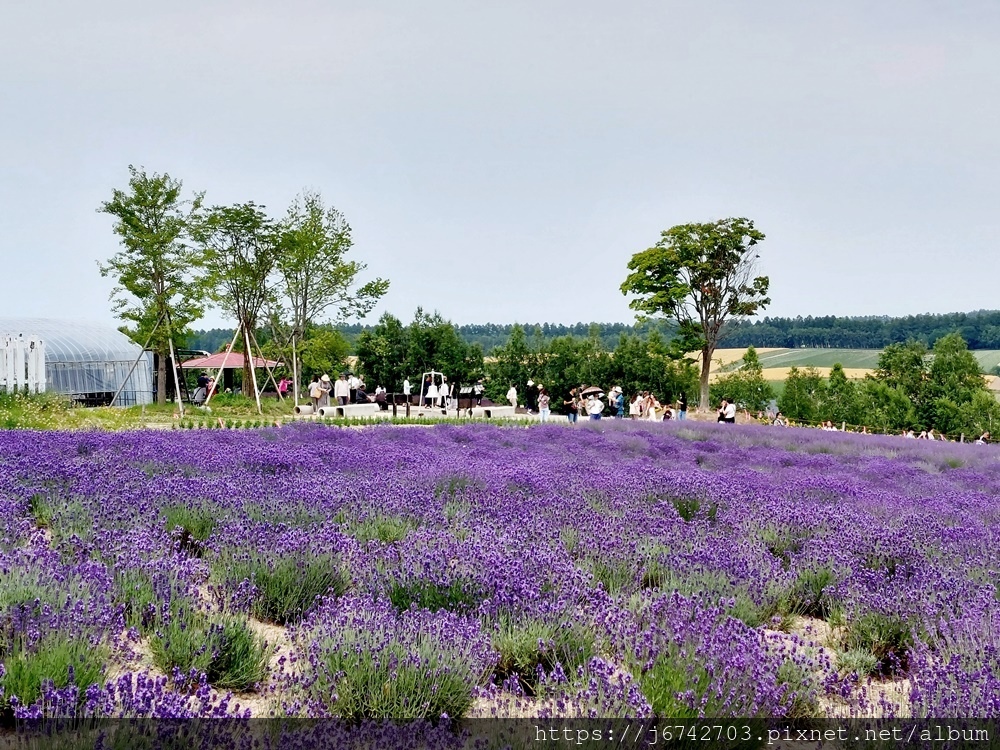 2023.7.10北海道~展望花田美瑛四季彩之丘