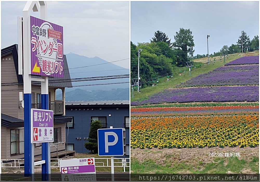 2023.7.10北海道北星山薰衣草園~坐登山吊椅賞薰衣草花