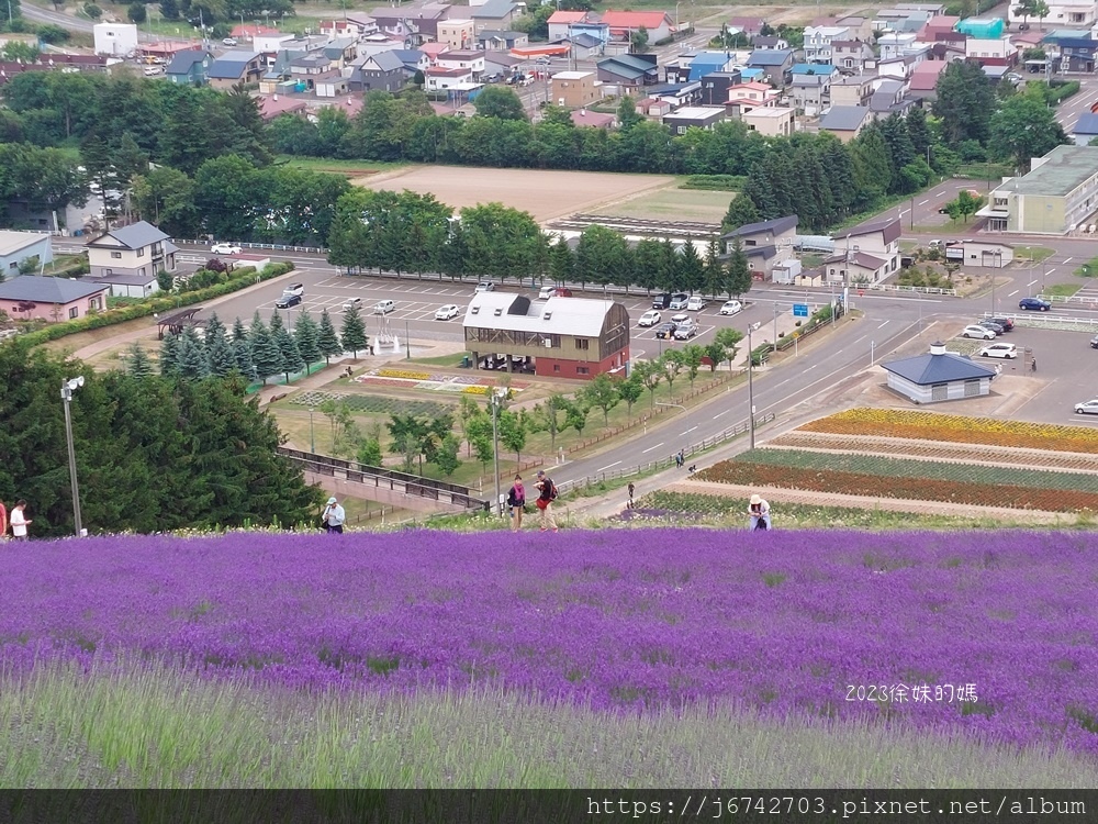 2023.7.10北海道北星山薰衣草園~坐登山吊椅賞薰衣草花