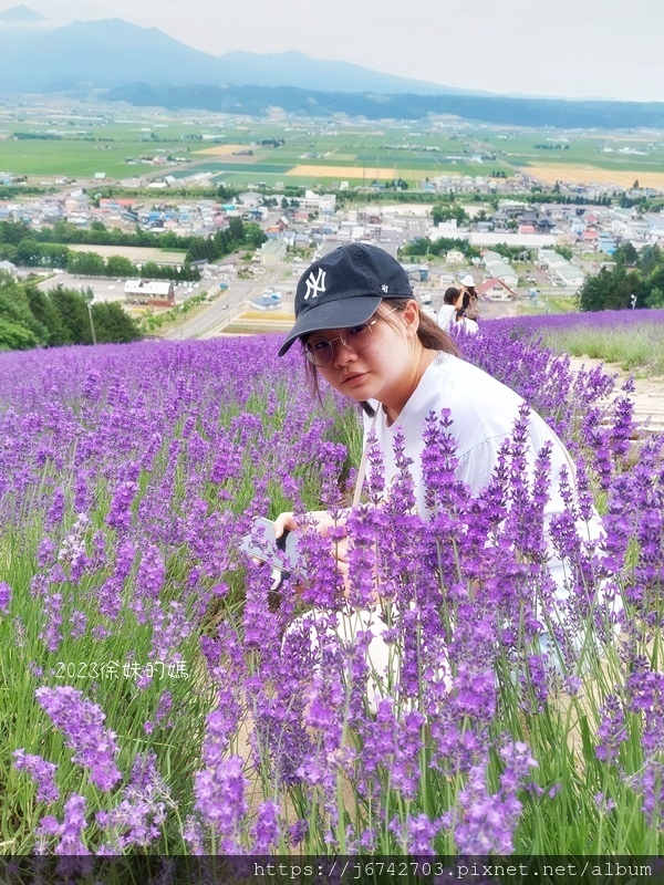 2023.7.10北海道北星山薰衣草園~坐登山吊椅賞薰衣草花