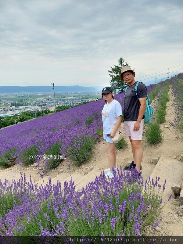 2023.7.10北海道北星山薰衣草園~坐登山吊椅賞薰衣草花