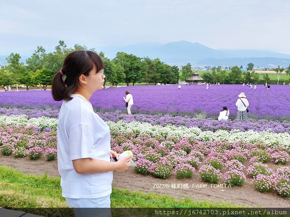 2023.7.10北海道富良野~富田農場~逛上一天都沒問題!