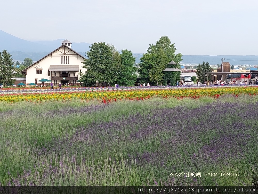 2023.7.10北海道富良野~富田農場~逛上一天都沒問題!