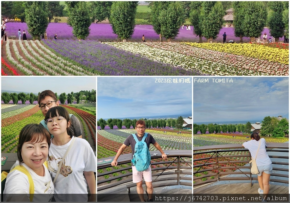 2023.7.10北海道富良野~富田農場~逛上一天都沒問題!