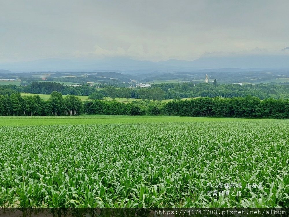 2023.7.10北海道富良野~雲霄飛車之路