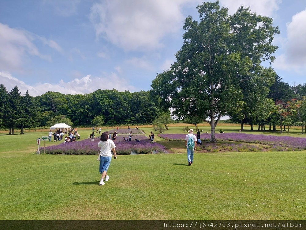 2023.7.14北海道自由行D6 札幌超人氣景點~羊之丘展