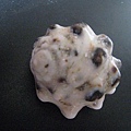 石頭&貝殼 (68).JPG