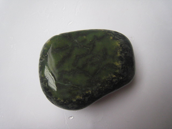 石頭&貝殼 (9).JPG