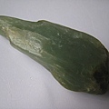 石頭&貝殼 (15).JPG