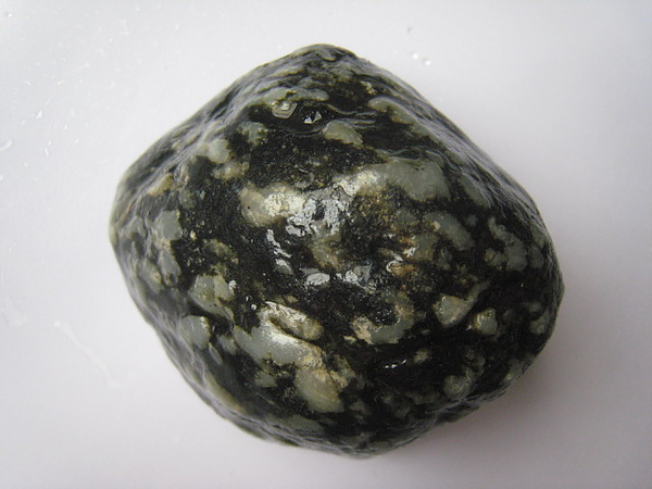 石頭&貝殼 (48).JPG