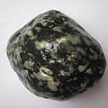 石頭&貝殼 (48).JPG