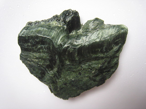石頭&貝殼 (51).JPG