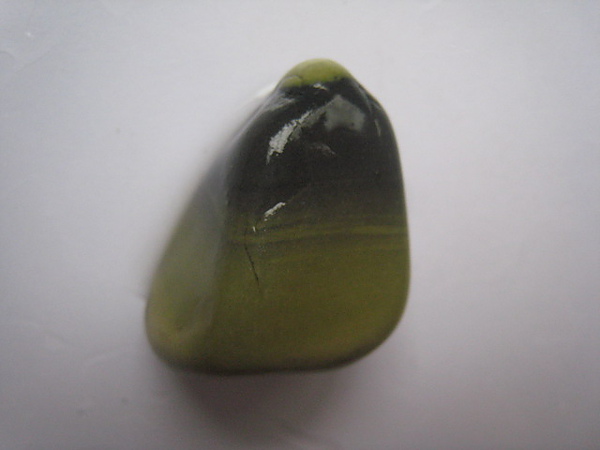 石頭&貝殼 (5).JPG