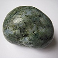 石頭&貝殼 (16).JPG