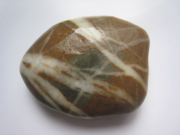 石頭&貝殼 (97).JPG
