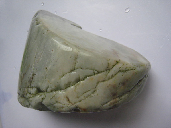 石頭&貝殼 (53).JPG