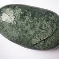 石頭&貝殼 (98).JPG