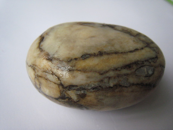 石頭&貝殼 (37).JPG