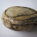 石頭&貝殼 (37).JPG
