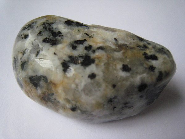 石頭&貝殼 (32).JPG