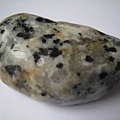 石頭&貝殼 (32).JPG