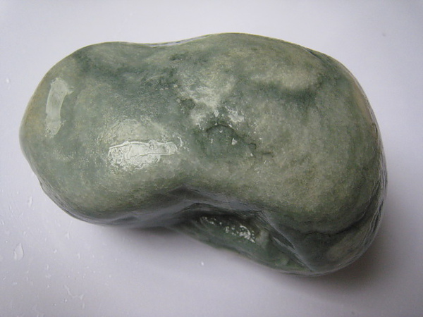 石頭&貝殼 (49).JPG