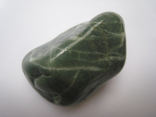 石頭&貝殼 (41).JPG
