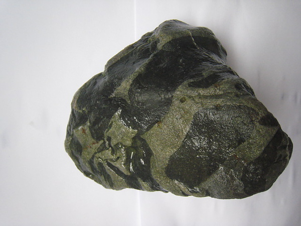 石頭&貝殼 (95).JPG