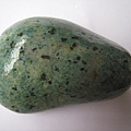 石頭&貝殼 (23).JPG
