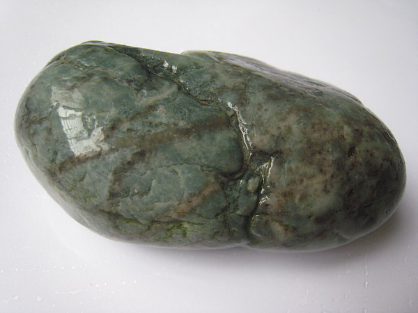 石頭&貝殼 (52).JPG