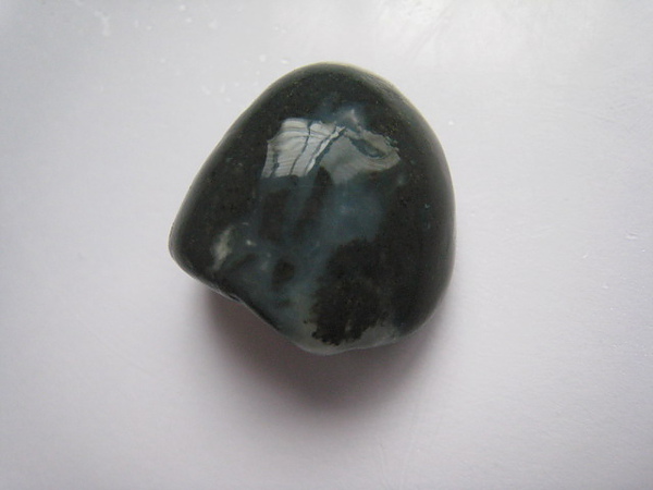 石頭&貝殼 (46).JPG