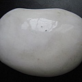 石頭&貝殼 (42).JPG