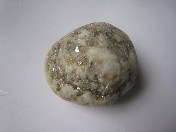 石頭&貝殼 (4).JPG