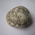 石頭&貝殼 (4).JPG