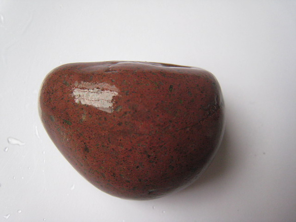 石頭&貝殼 (25).JPG