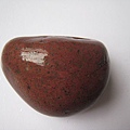 石頭&貝殼 (25).JPG