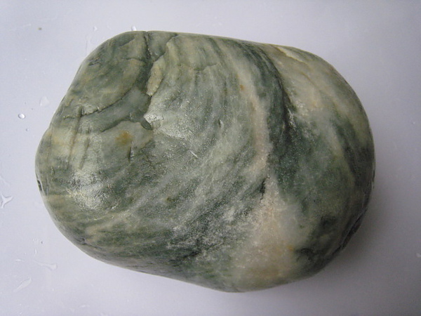 石頭&貝殼 (40).JPG