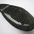 石頭&貝殼 (7).JPG