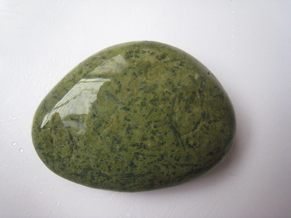 石頭&貝殼 (44).JPG