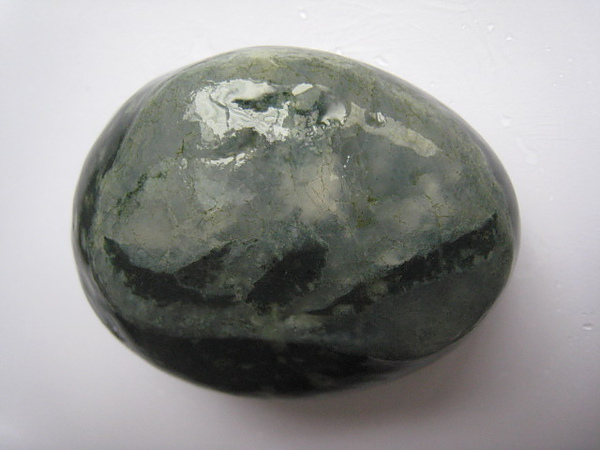 石頭&貝殼 (35).JPG