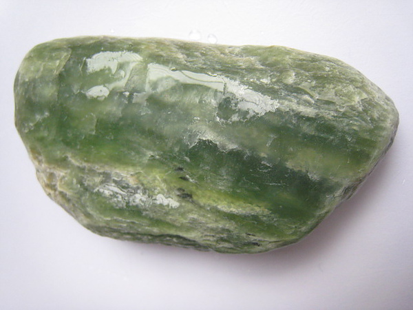 石頭&貝殼 (36).JPG