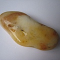 石頭&貝殼 (28).JPG