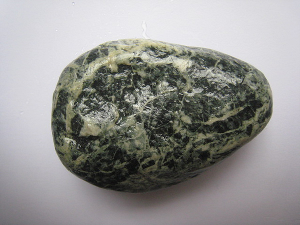 石頭&貝殼 (17).JPG